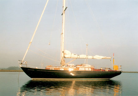 Blue Saluki at anchor